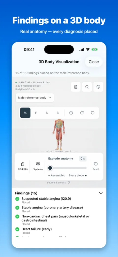 HAMD AI Lite: 3D body